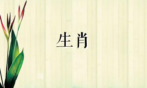 属马的人晚年命运怎么样 属马晚年怎么样