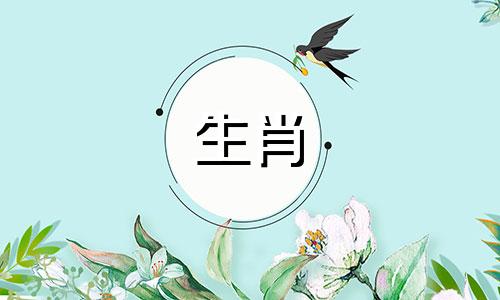 属龙的转运需要带什么 属龙人佩戴什么转运
