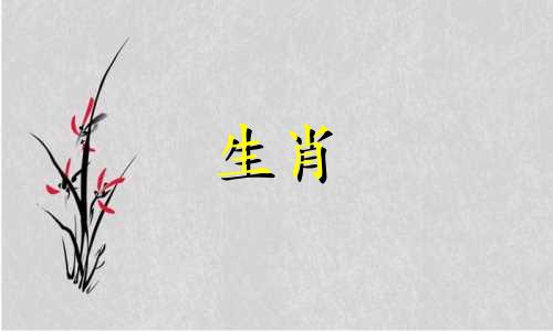 属马的相合和相冲分别是哪些生肖