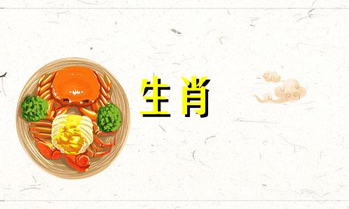 属马人的晚年运势如何 属马人晚年运势及运程
