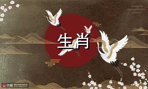 属虎松柏木命和什么命最配对