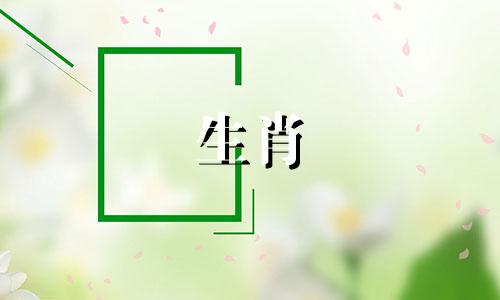 兔和谁是天生一对的动物 兔子和什么属相最配