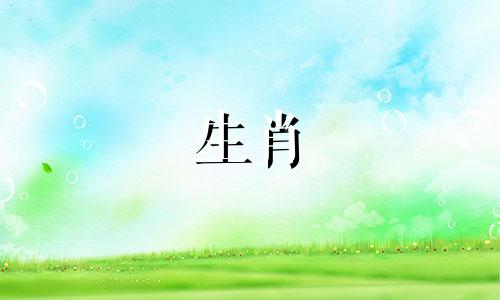 生肖虎未来3年运势大揭秘!流年大运早知道,准!