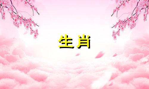 属兔女一般人驾驭不了 属兔人今生有两段孽缘