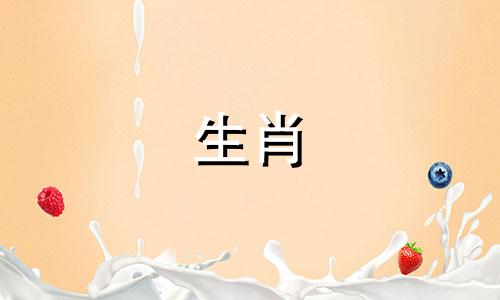 属羊的人为何不讨人喜欢呢