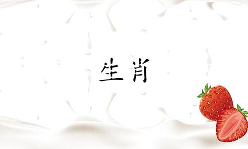属猴的开什么牌子车最好 属猴的开什么车好