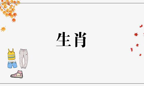 属猴的出生年份表年龄 属鼠的出生年份表