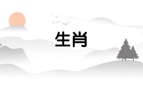 属猴的多大岁数有财运 属猴多大啊