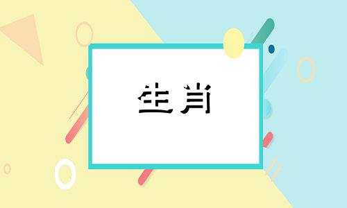 属狗人晚年凄苦的原因及最凶的年份是什么?