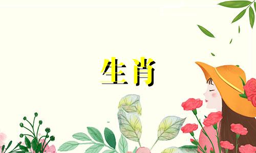 子鼠午时出生的宝宝什么命运