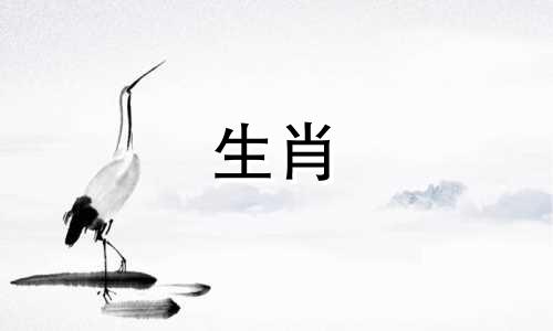 属兔的相合和相冲分别是哪些生肖