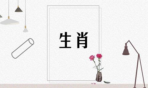 属龙的相合和相冲分别是哪些生肖
