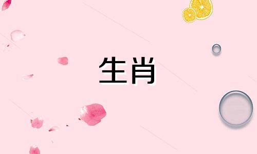 1971金猪命缺什么,71年属猪人命运如何呢