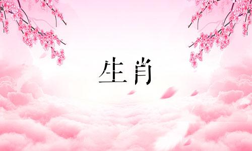 属牛人2025年能参加白事吗,牛今年要避开什么生肖