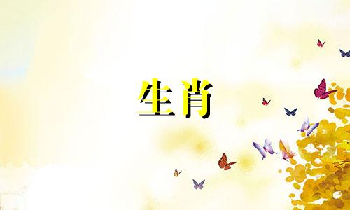 属马人要远离哪些生肖 属马的人最忌讳什么