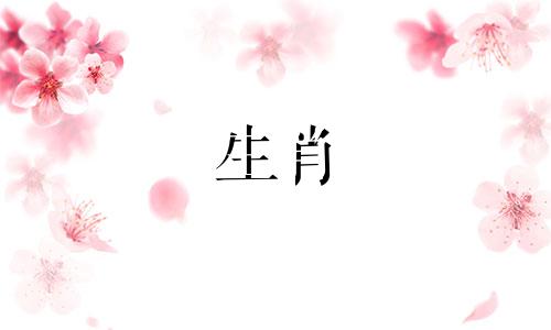 属猪人创业是否容易成功 属猪的今年创业怎么样