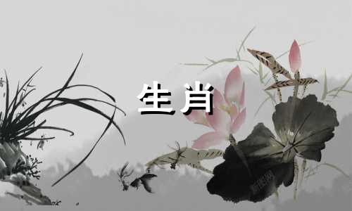 2005年属鸡女2025运势及运程详解