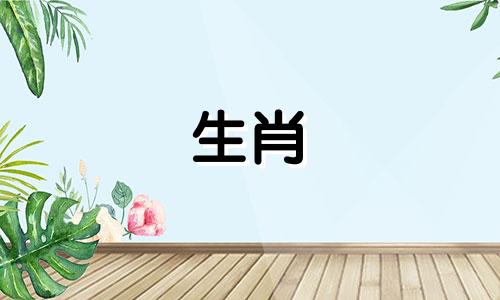 2025年旧爱变真爱的生肖女
