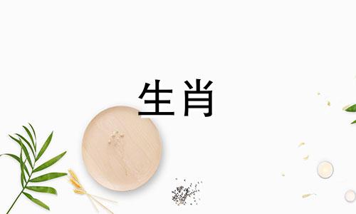 属猪带什么吉祥物护身好 属猪的应该带什么生肖吉祥物