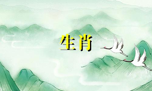 属鼠人2025年全年运势详解