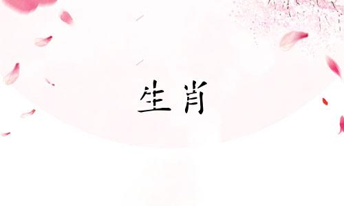 生肖牛未来三年财运怎样 生肖牛未来五年的运势