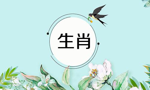 属虎的出生年份表图片大全