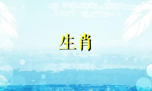 1975属兔50岁有一灾生命危险吗