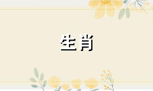 属羊创业做什么生意好 2021年属羊的适合创业吗