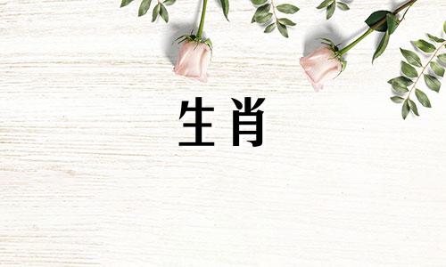 属马人什么时候才起大运呢