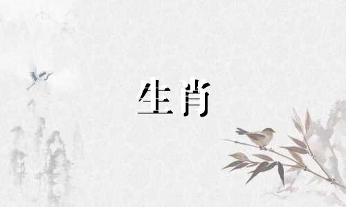 属鸡人什么时候才起大运呢
