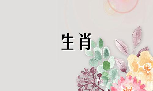 属羊的出生年份表图片大全