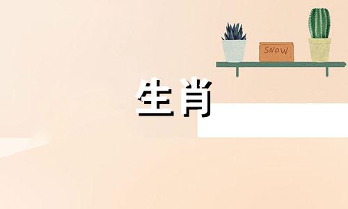 属虎的男人2020年会离婚吗