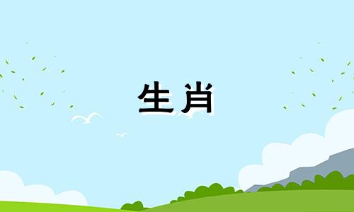 属猪人2025年能参加白事吗,猪今年要避开什么生肖