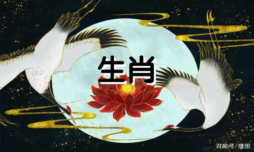 属兔2021年能参加白事吗 2025年属兔百年难遇