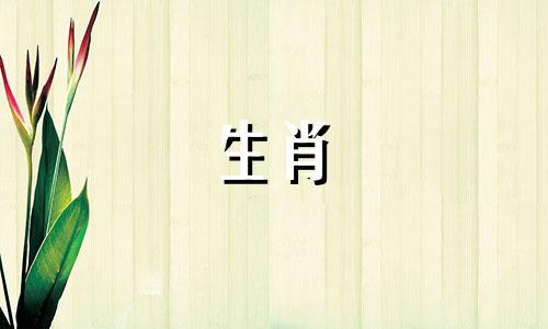 2025年猪冲太岁佩戴什么最好五行喜木
