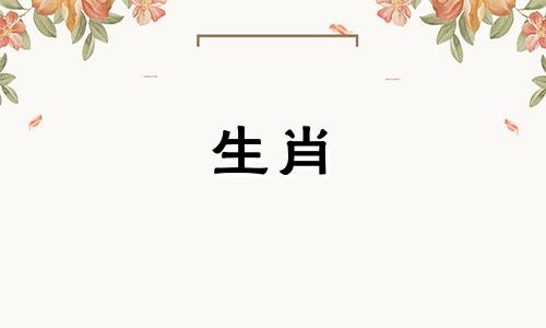 男马女兔为何说是绝配 马女和兔女