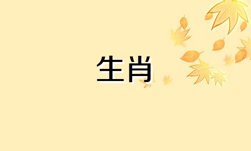 81年鸡女婚姻最终归宿如何