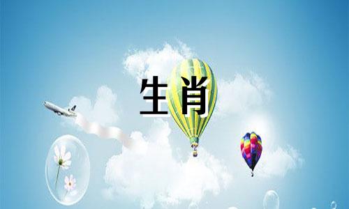 蛇虎相害到底有多严重做朋友