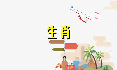 蛇年哪个生肖运势最旺 蛇生肖一生运势大全