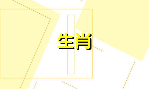 属狗的男人最怕什么样的女人呢