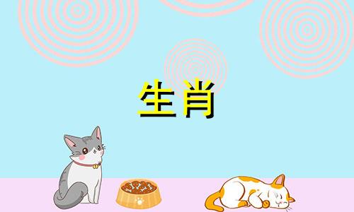 猪最佳配对第一名是谁 猪最佳配偶