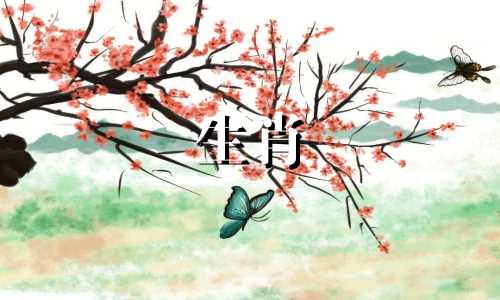 狗和兔在一起有财运吗,相互吸引吗