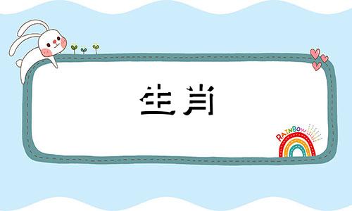 95年属猪最旺盛的一年是什么