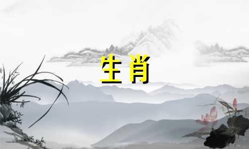 85年牛婚姻最终归宿在哪年