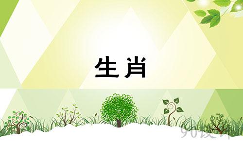 2025年属羊人的全年运势详解