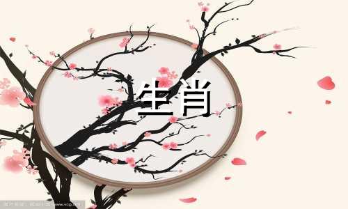 98年虎女和96年鼠男是正缘吗是上等婚配吗