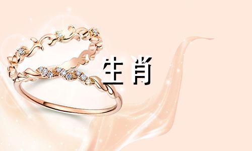 1997属牛哪年有添丁命菠萝蜜有什么功效