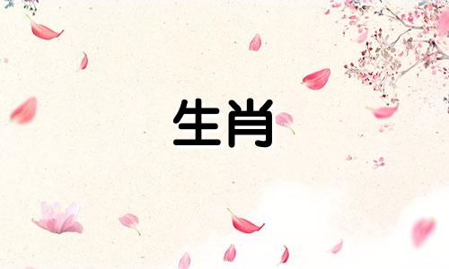 2001年属蛇人2020年考试运