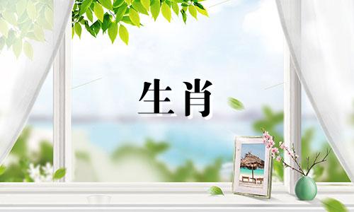 男虎和女蛇其实非常配 98年虎跟01年蛇是千禧之交吗