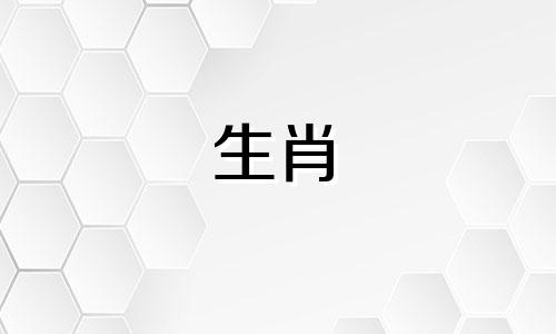 1962年的虎今年运气怎么样